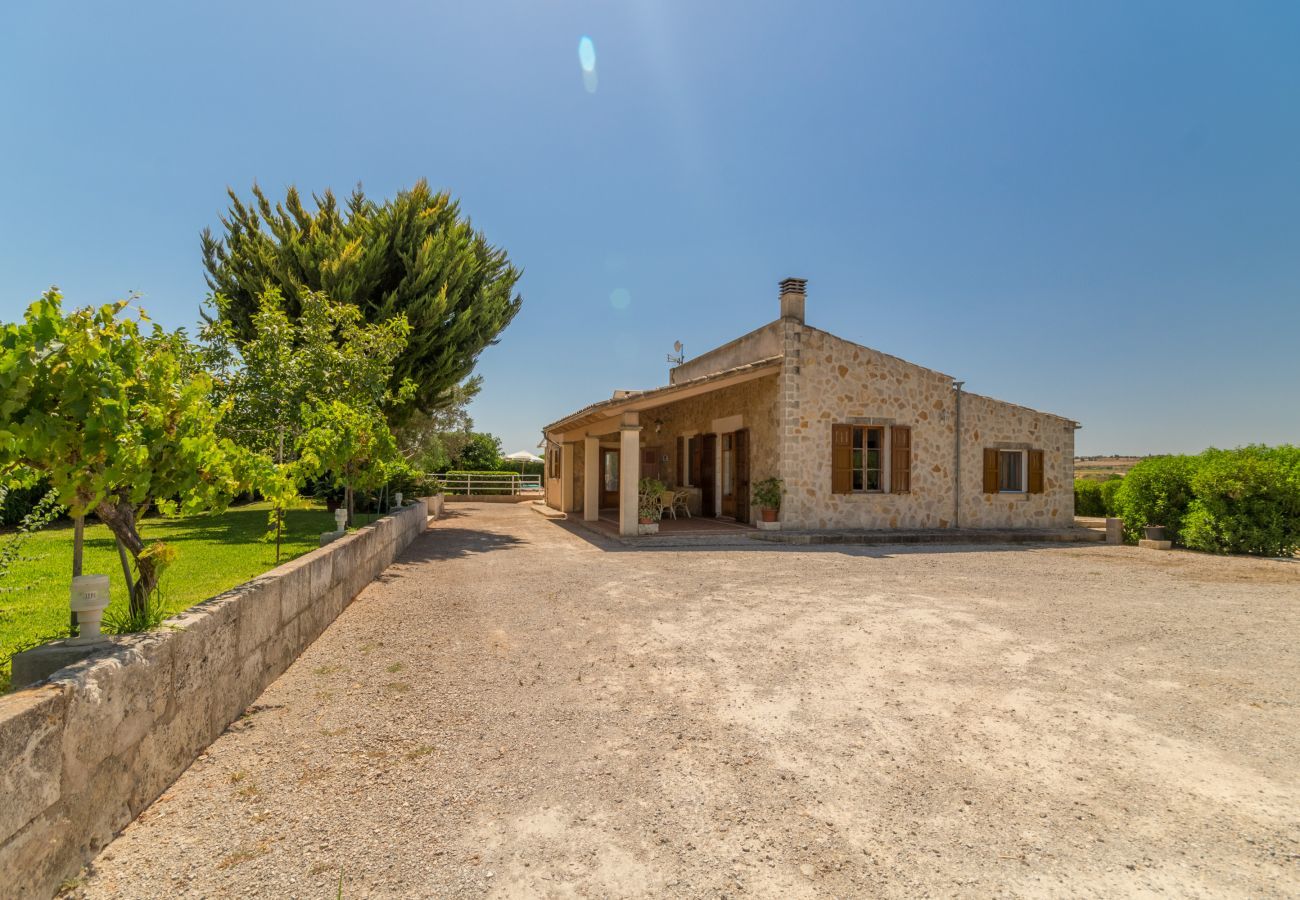 Cottage in Santa Margalida - Sa Cova Dor, Finca 5StarsHome Mallorca