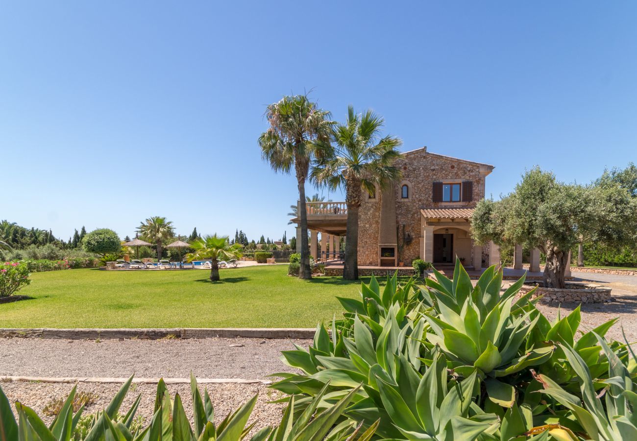 Villa in Felanitx - S'hort d'Or, Finca 5StarsHome Mallorca