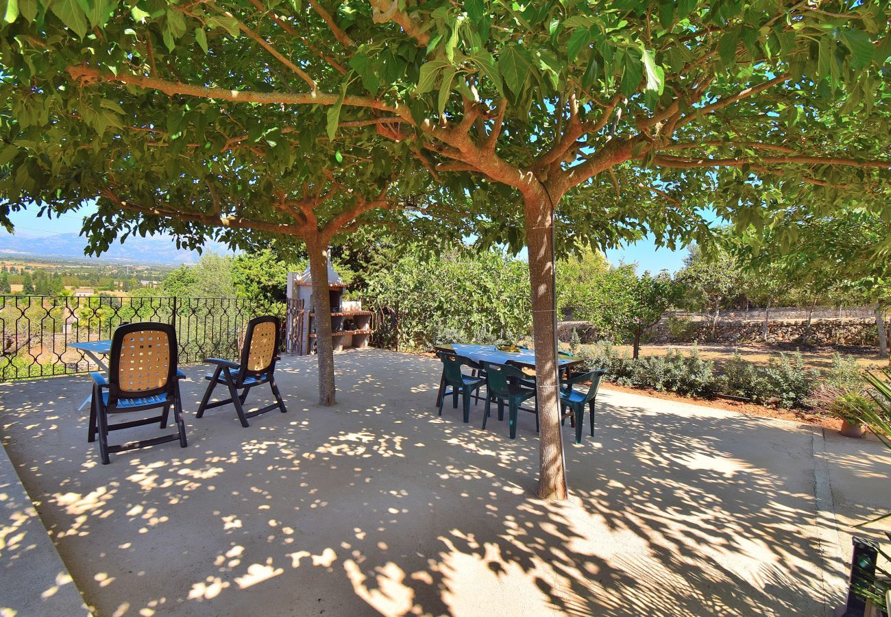 Country house in Muro - 147 Finca Terra Nostra ETV/6544 by Mallorca Charme