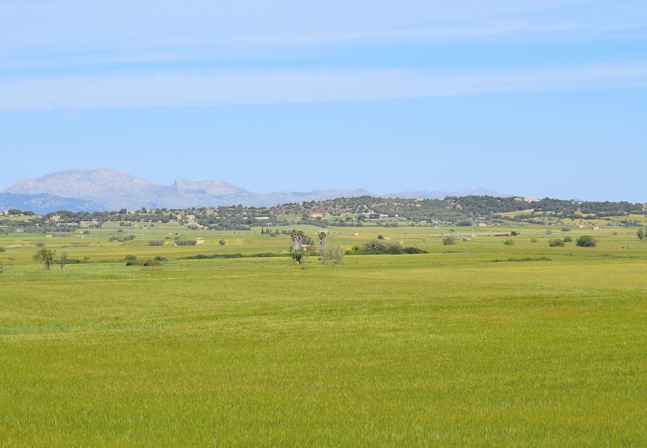 Country house in Maria de la salut - 012 Finca Es Gassons VT/1874 by Mallorca Charme
