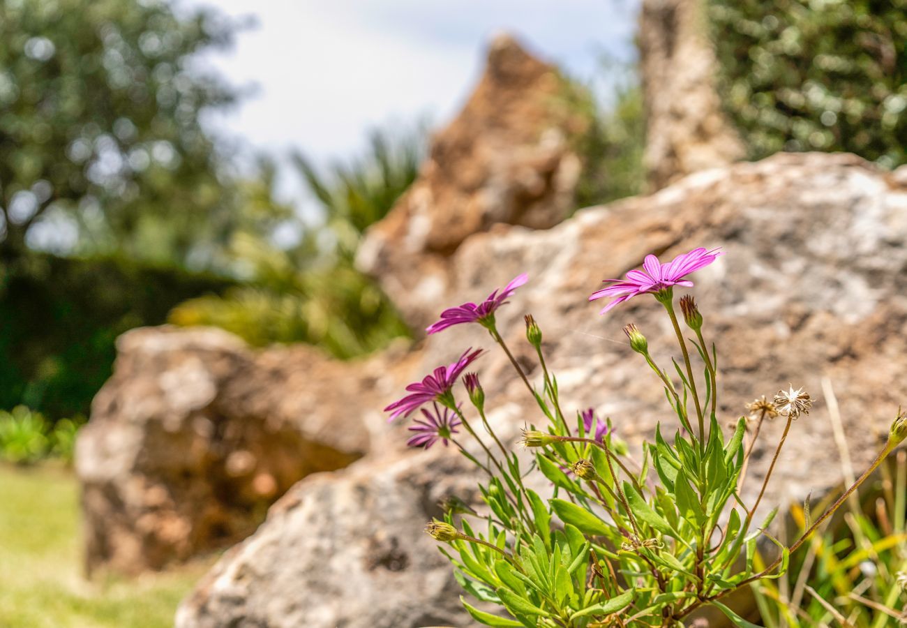 Cottage in Pollensa / Pollença - Buchaca, Villa-Finca 5StarsHome Mallorca