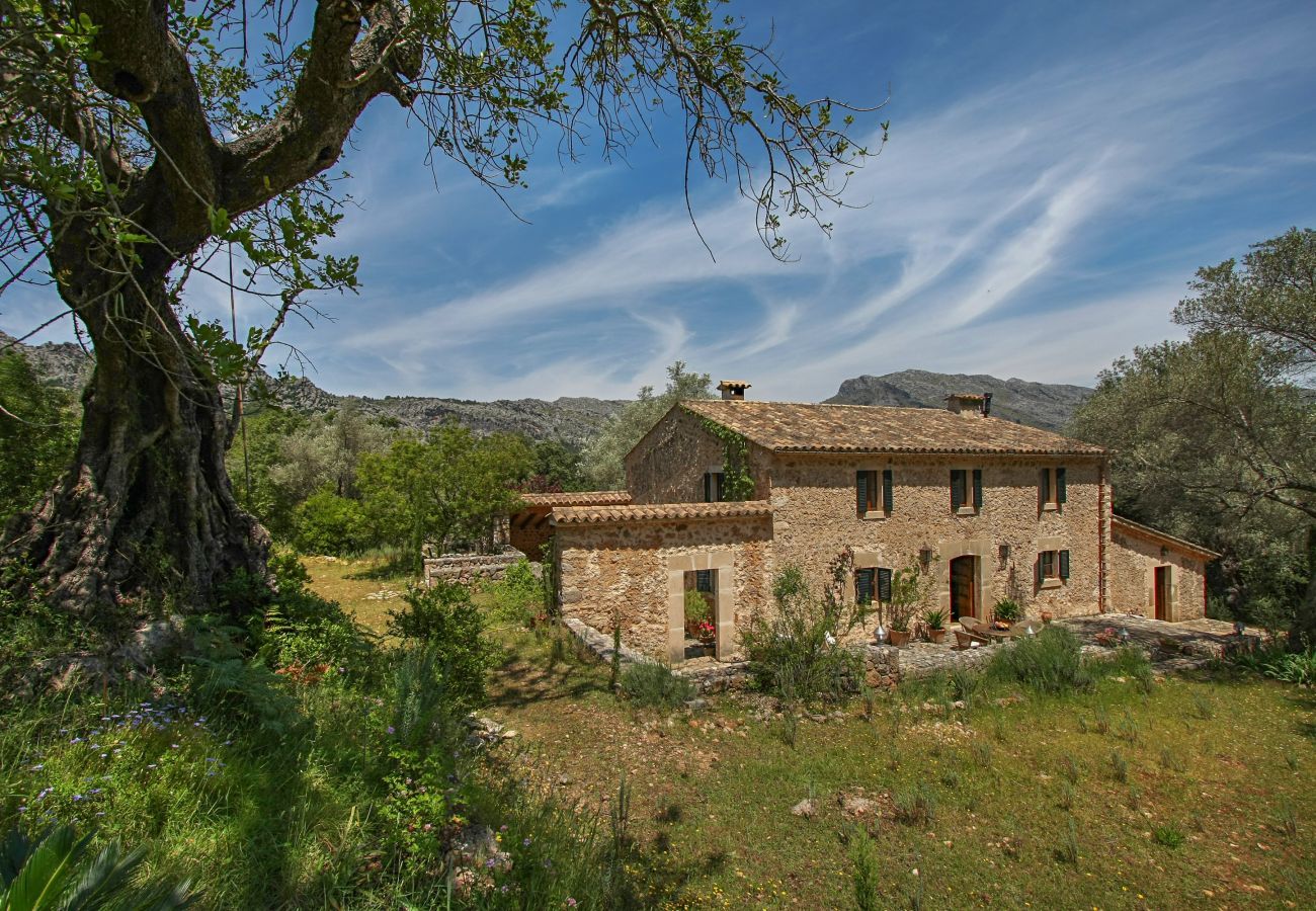 Cottage in Pollensa / Pollença - Mon Mallorqui, Finca 5StarsHome Mallorca