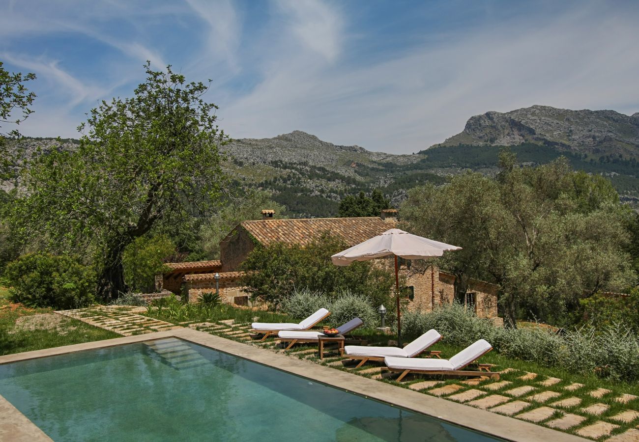 Cottage in Pollensa / Pollença - Mon Mallorqui, Finca 5StarsHome Mallorca