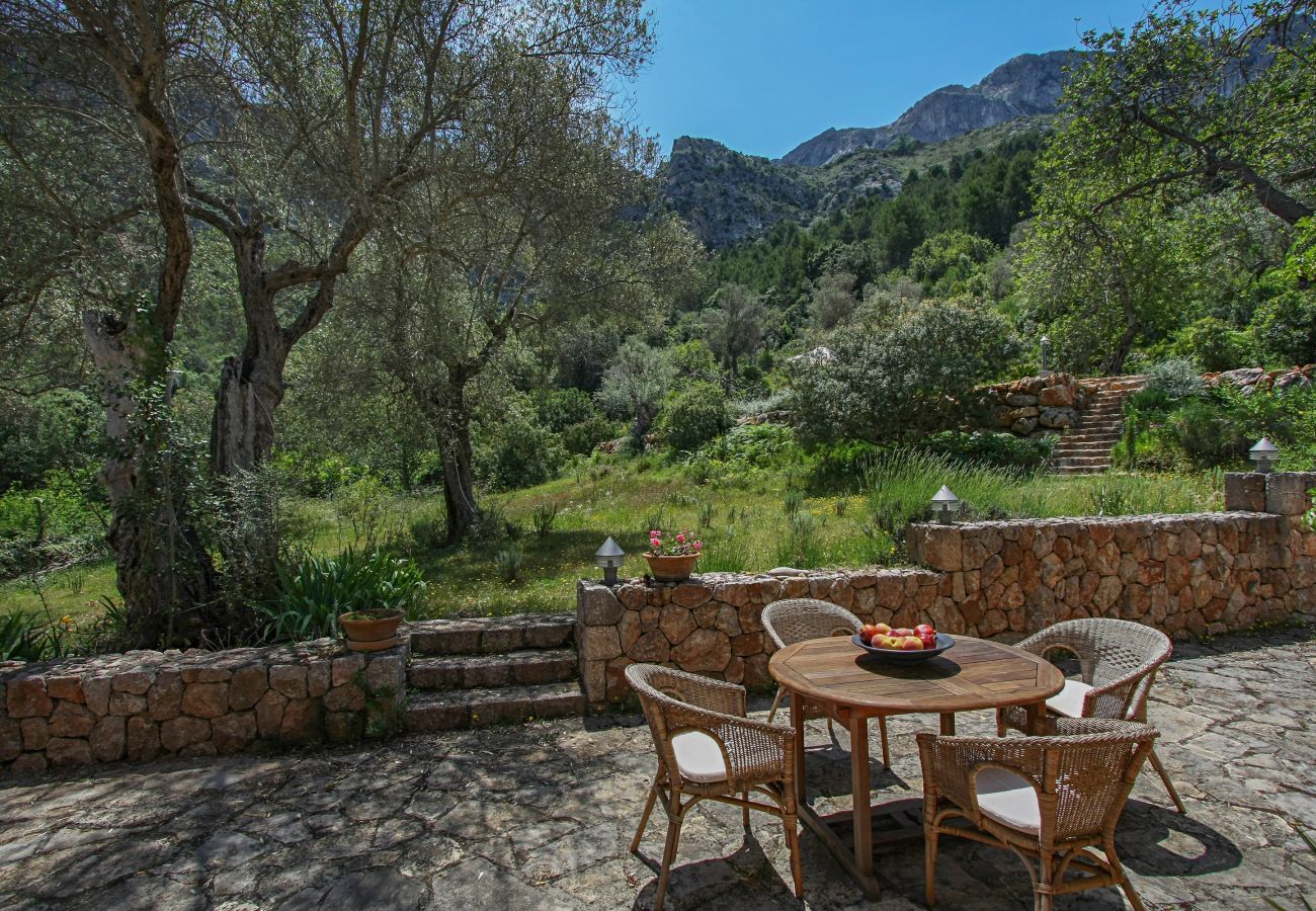 Cottage in Pollensa / Pollença - Mon Mallorqui, Finca 5StarsHome Mallorca