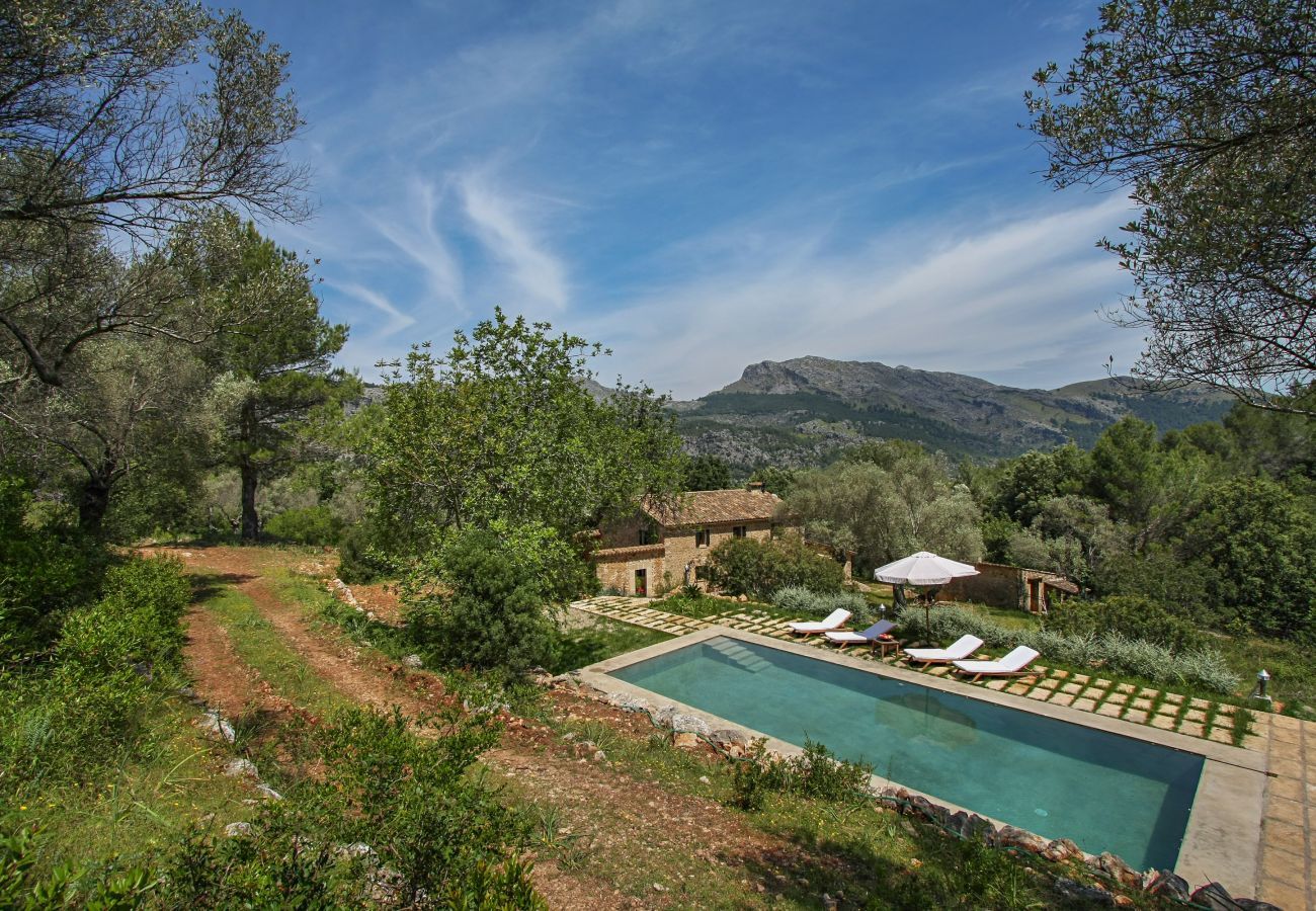 Cottage in Pollensa / Pollença - Mon Mallorqui, Finca 5StarsHome Mallorca