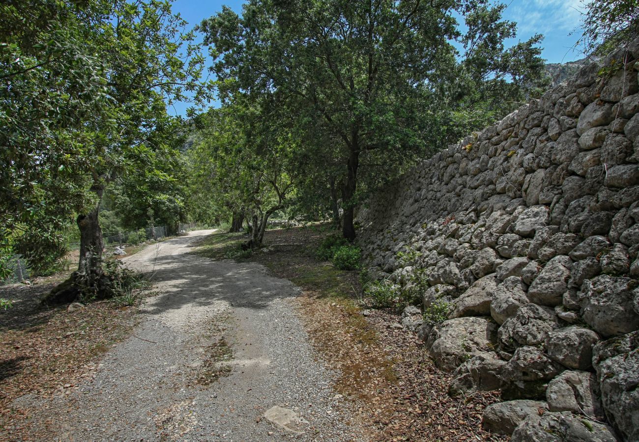 Cottage in Pollensa / Pollença - Mon Mallorqui, Finca 5StarsHome Mallorca