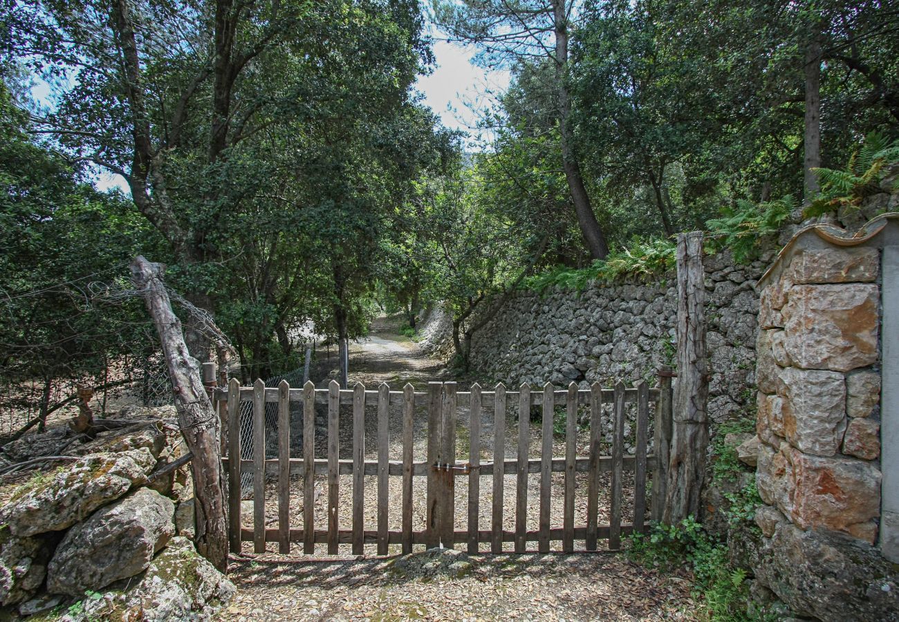 Cottage in Pollensa / Pollença - Mon Mallorqui, Finca 5StarsHome Mallorca