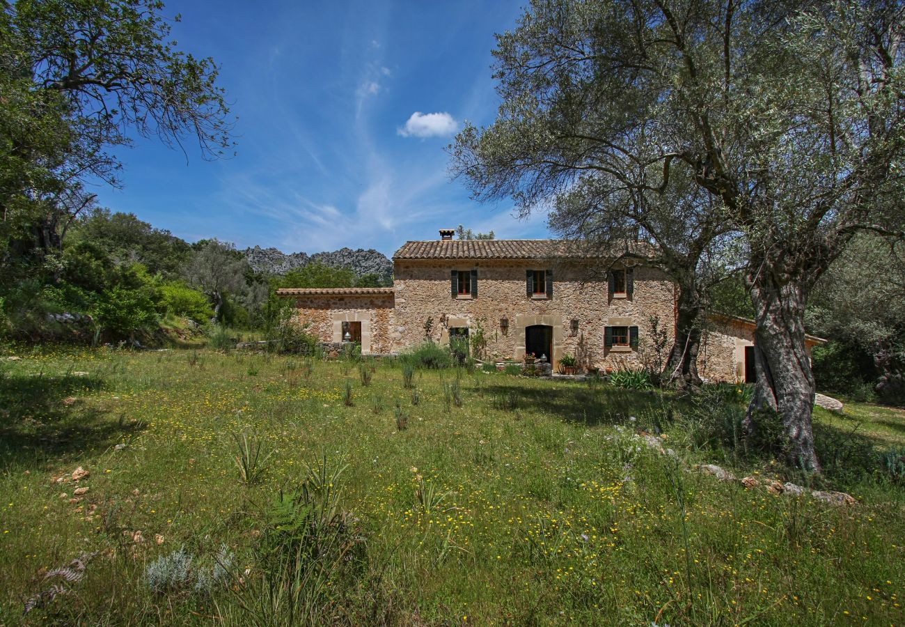 Cottage in Pollensa / Pollença - Mon Mallorqui, Finca 5StarsHome Mallorca