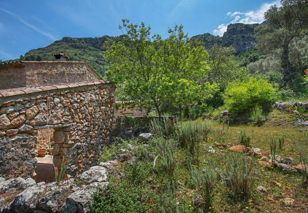 Cottage in Pollensa / Pollença - Mon Mallorqui, Finca 5StarsHome Mallorca