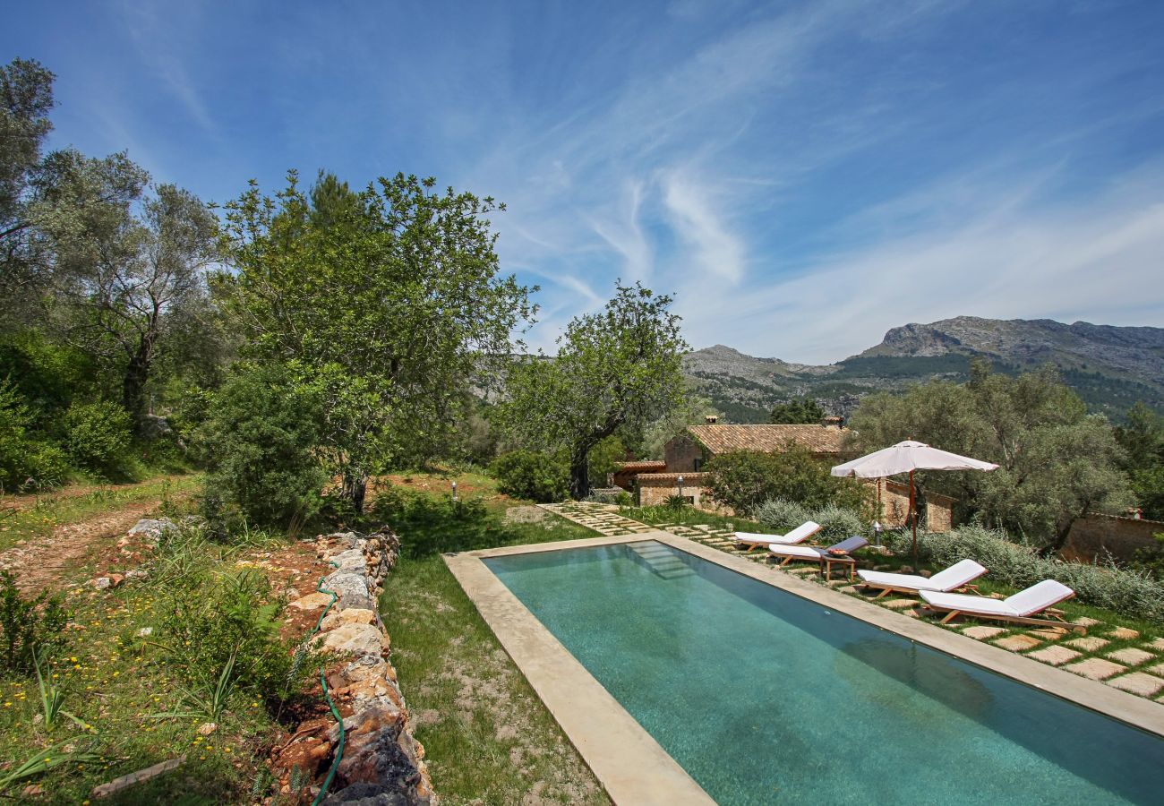 Cottage in Pollensa / Pollença - Mon Mallorqui, Finca 5StarsHome Mallorca