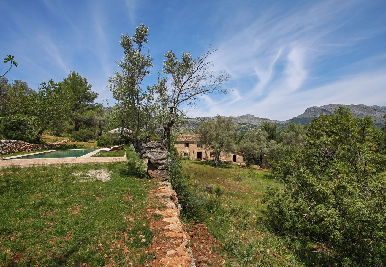 Cottage in Pollensa / Pollença - Mon Mallorqui, Finca 5StarsHome Mallorca