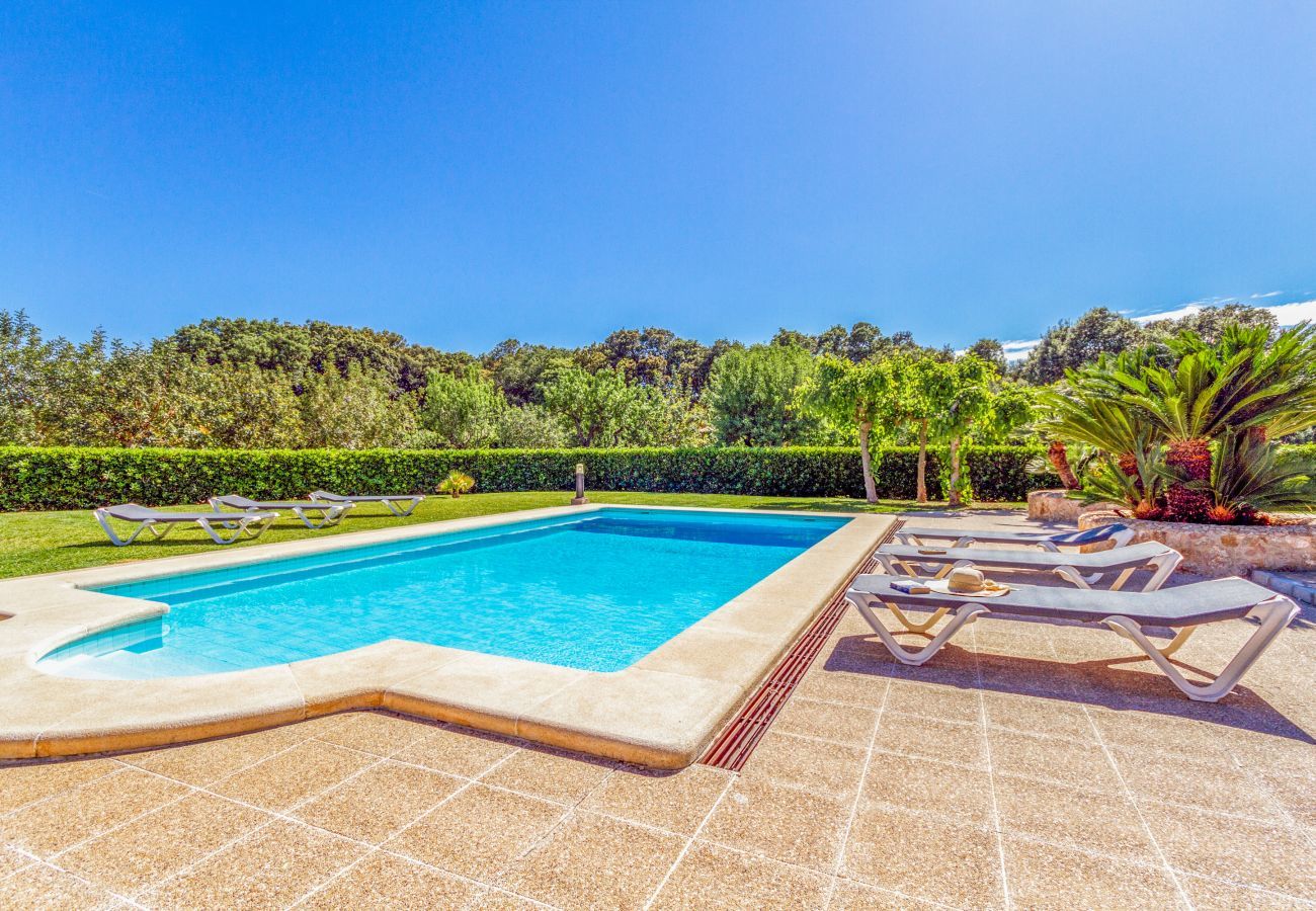 Villa in Pollensa / Pollença - Small King, Villa 5StarsHome Mallorca