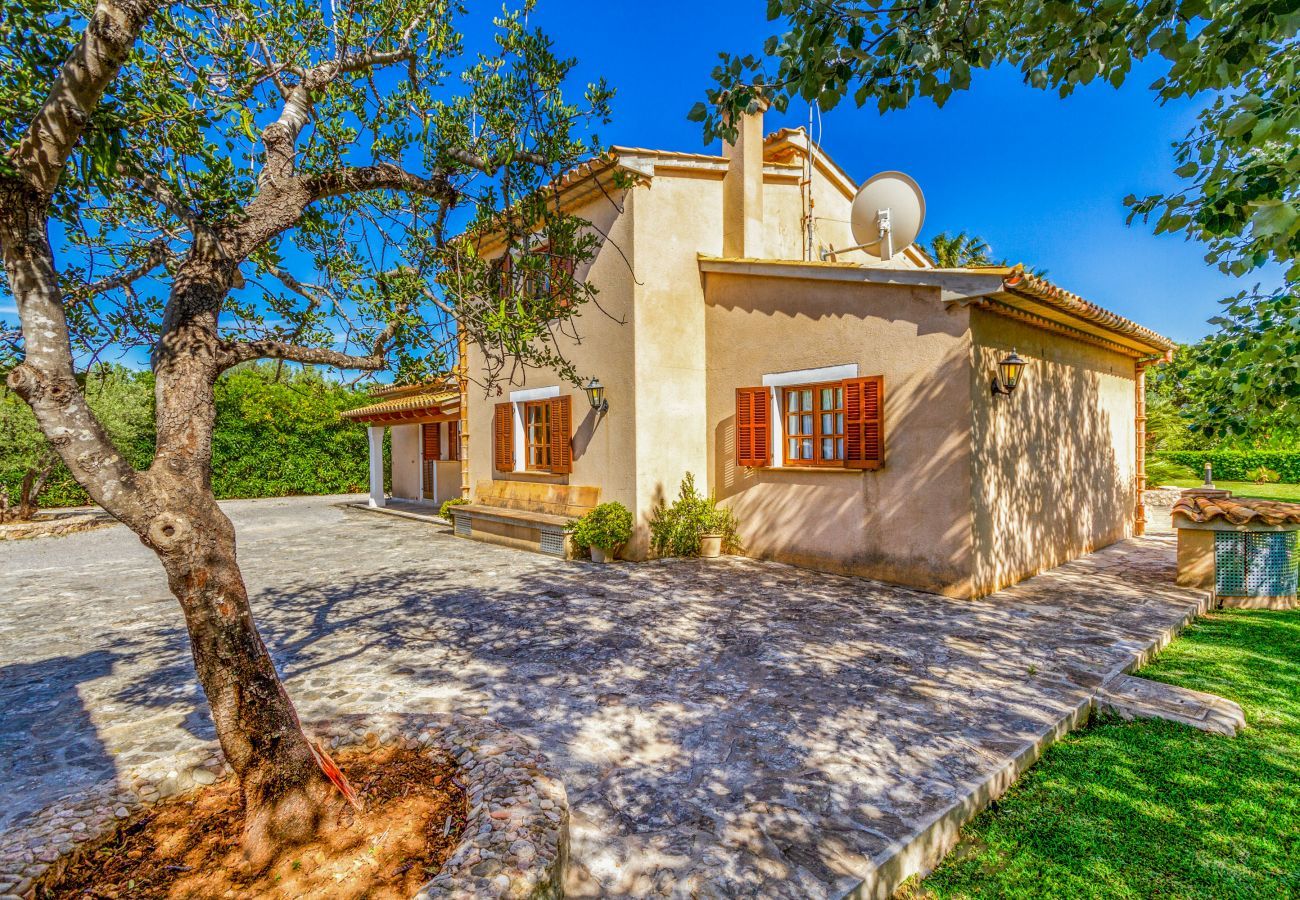 Villa in Pollensa / Pollença - Small King, Villa 5StarsHome Mallorca