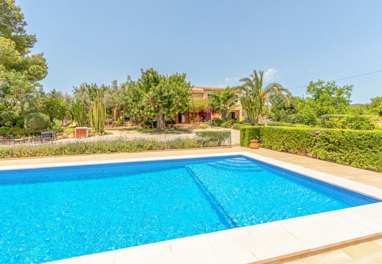 Country house in Binissalem - Alaroters, Villa-Finca 5StarsHome Mallorca