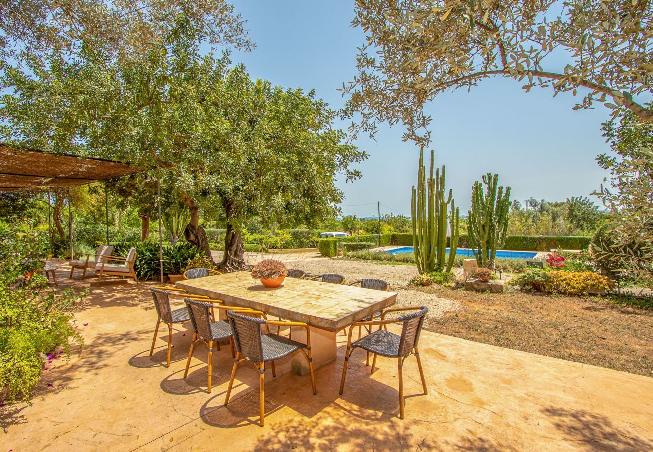 Country house in Binissalem - Alaroters, Villa-Finca 5StarsHome Mallorca