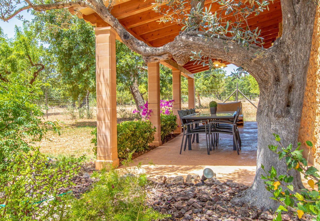 Country house in Binissalem - Alaroters, Villa-Finca 5StarsHome Mallorca