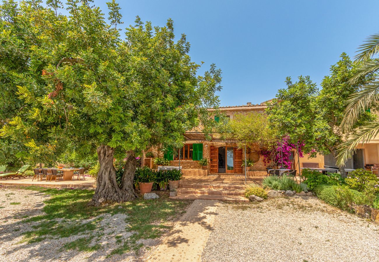 Country house in Binissalem - Alaroters, Villa-Finca 5StarsHome Mallorca