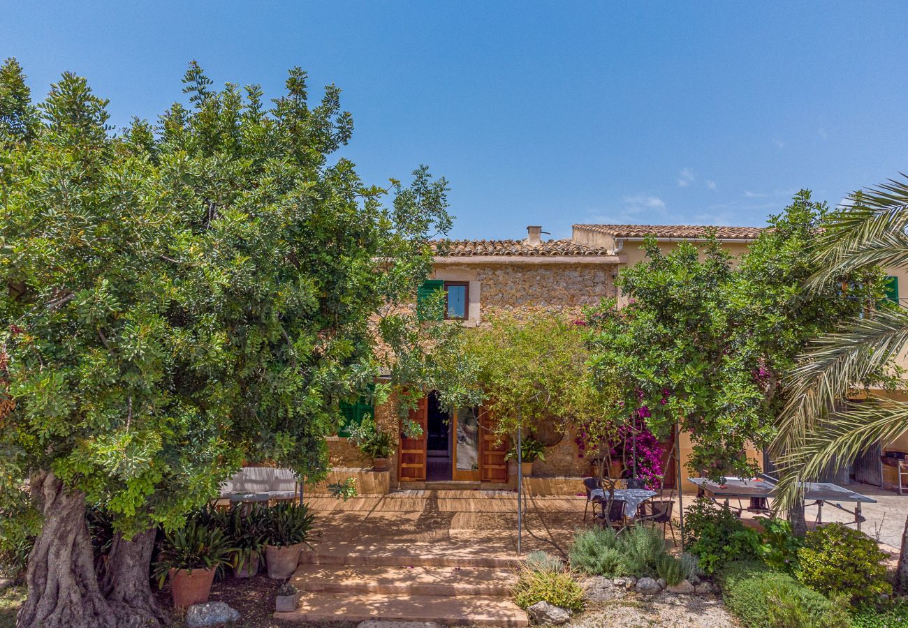 Country house in Binissalem - Alaroters, Villa-Finca 5StarsHome Mallorca