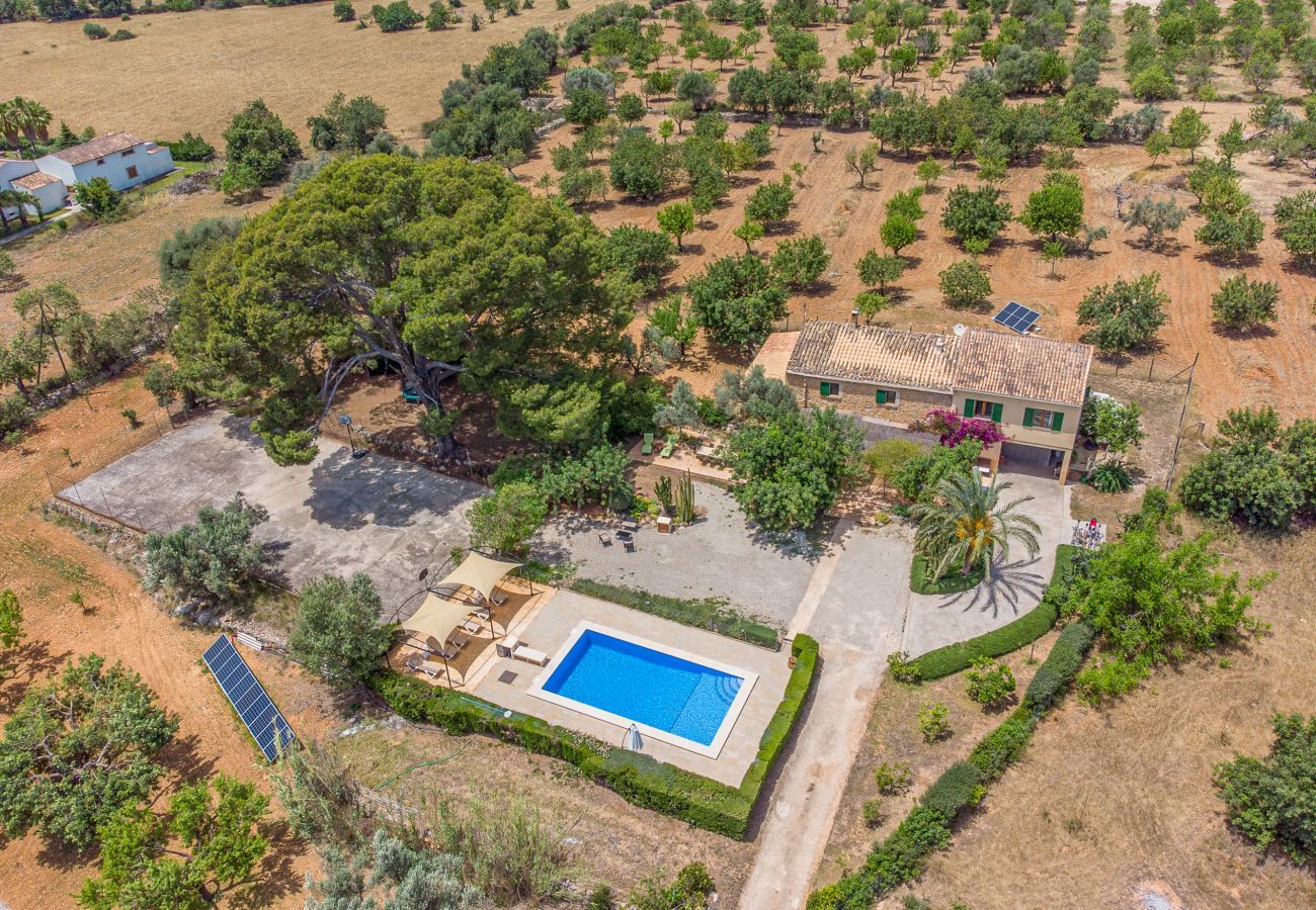 Country house in Binissalem - Alaroters, Villa-Finca 5StarsHome Mallorca