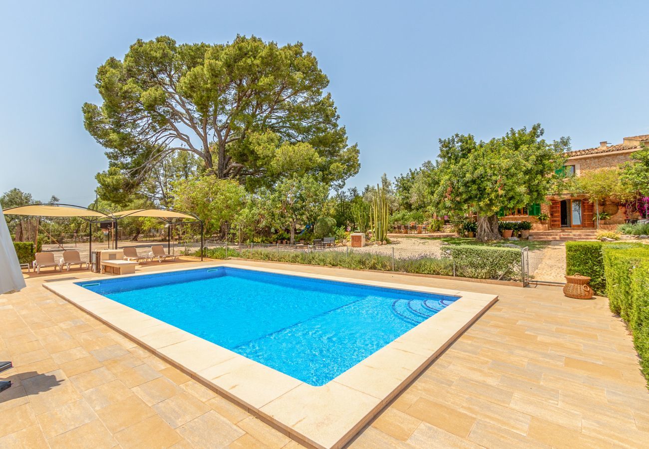 Country house in Binissalem - Alaroters, Villa-Finca 5StarsHome Mallorca