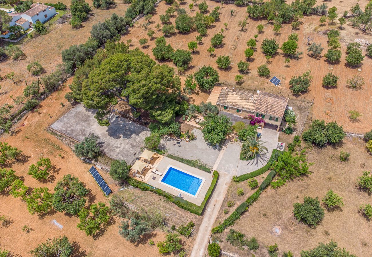 Country house in Binissalem - Alaroters, Villa-Finca 5StarsHome Mallorca