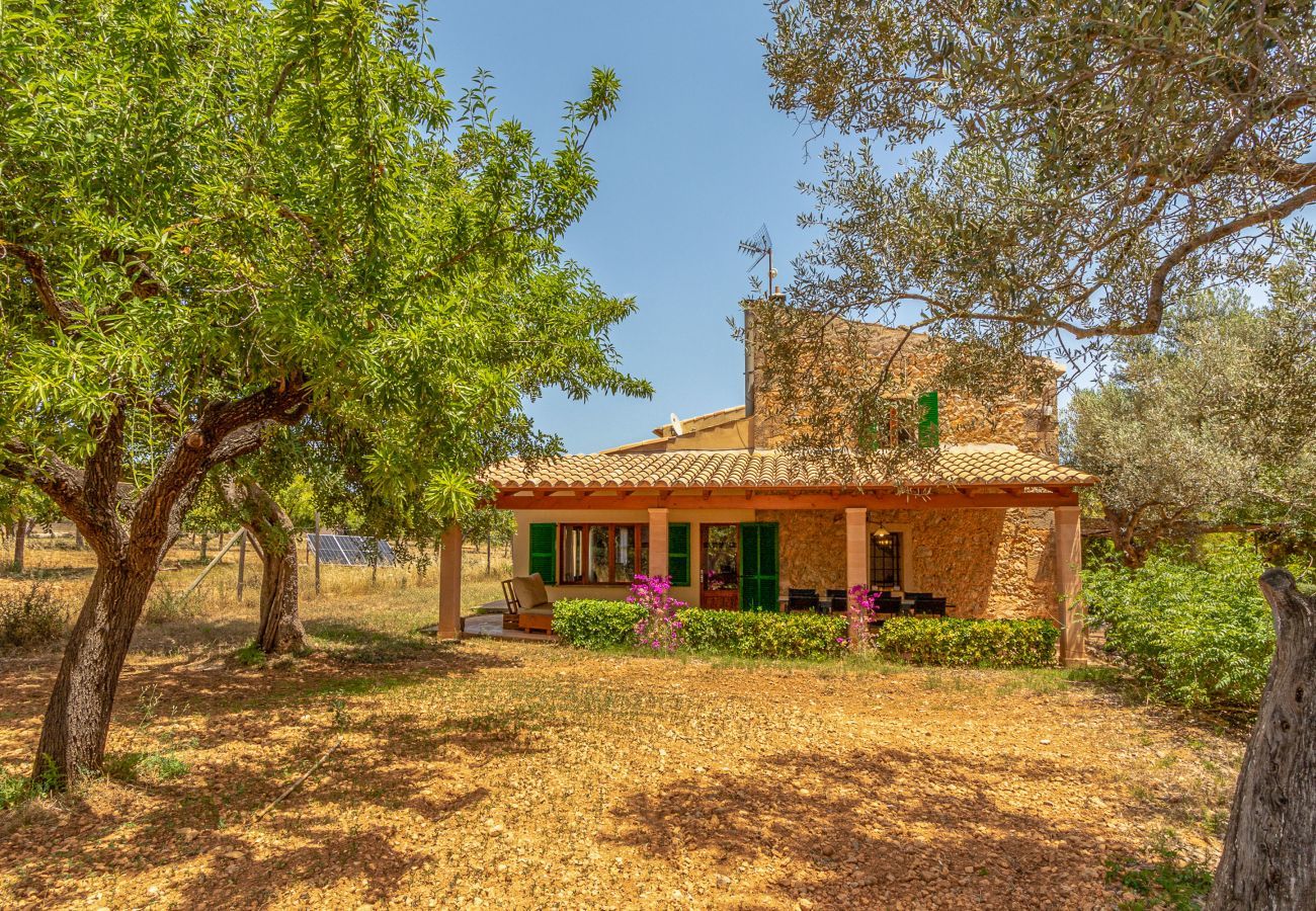 Country house in Binissalem - Alaroters, Villa-Finca 5StarsHome Mallorca