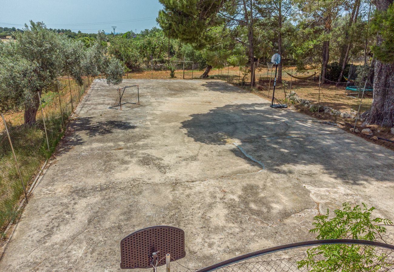 Country house in Binissalem - Alaroters, Villa-Finca 5StarsHome Mallorca