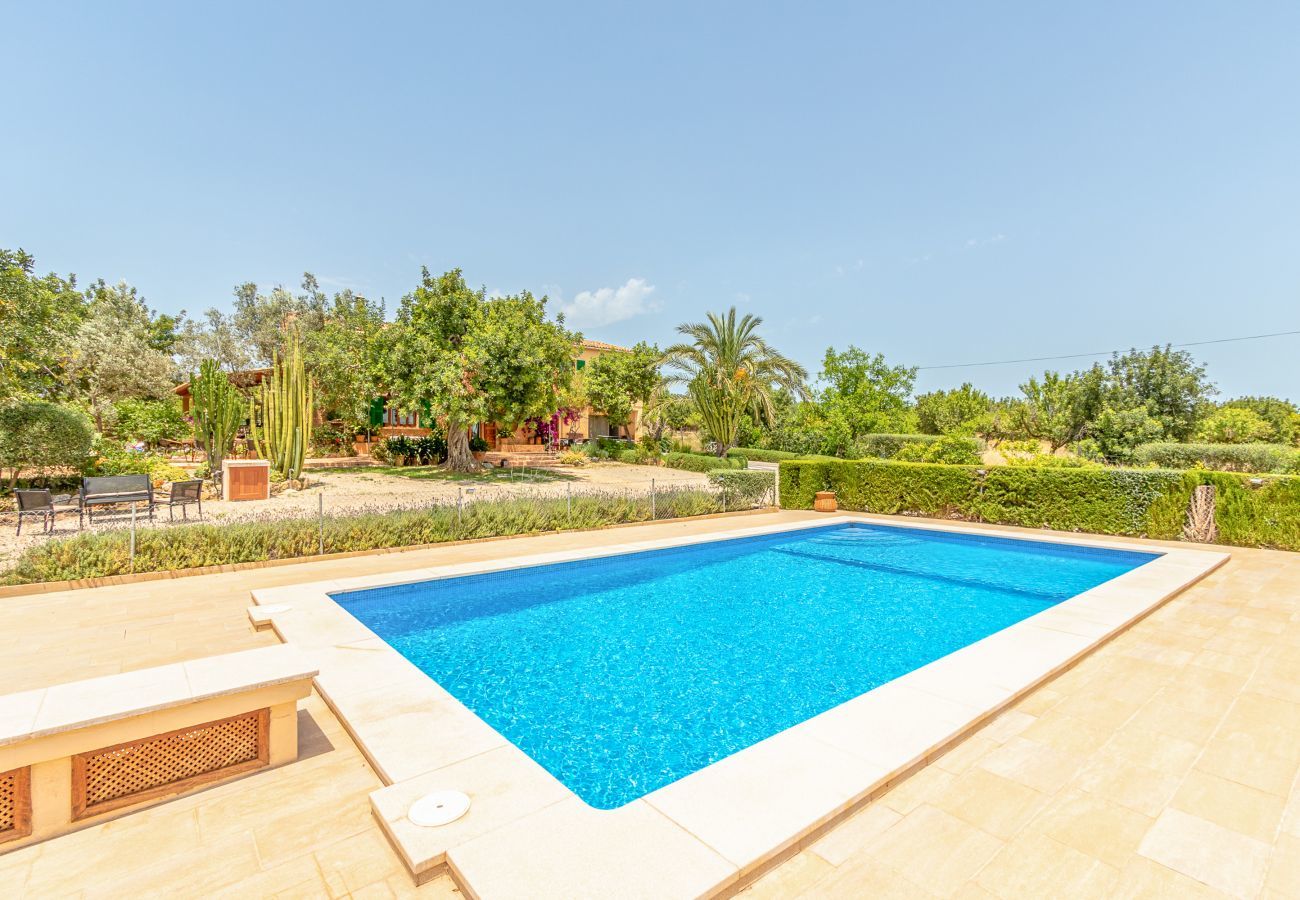 Country house in Binissalem - Alaroters, Villa-Finca 5StarsHome Mallorca