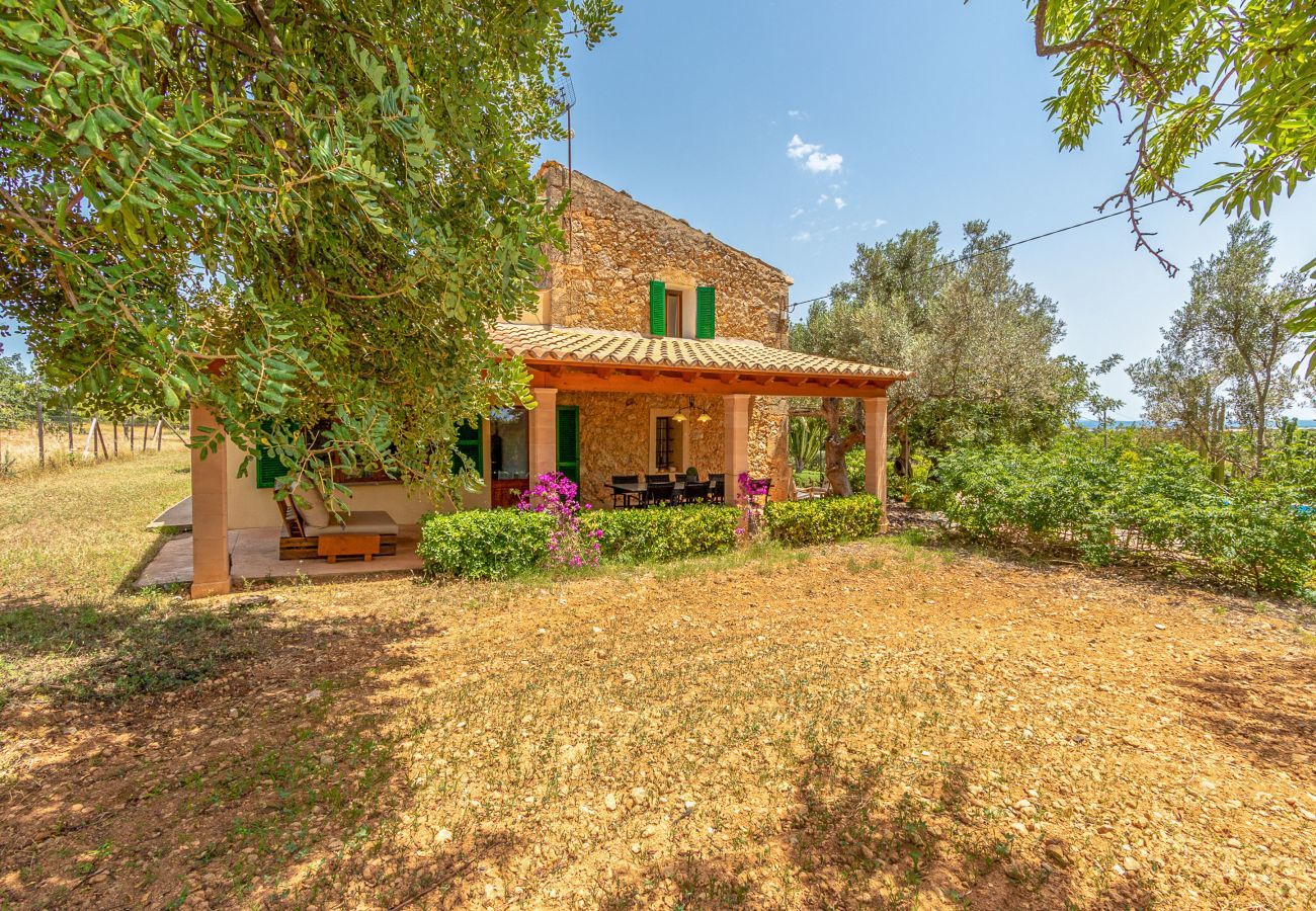 Country house in Binissalem - Alaroters, Villa-Finca 5StarsHome Mallorca