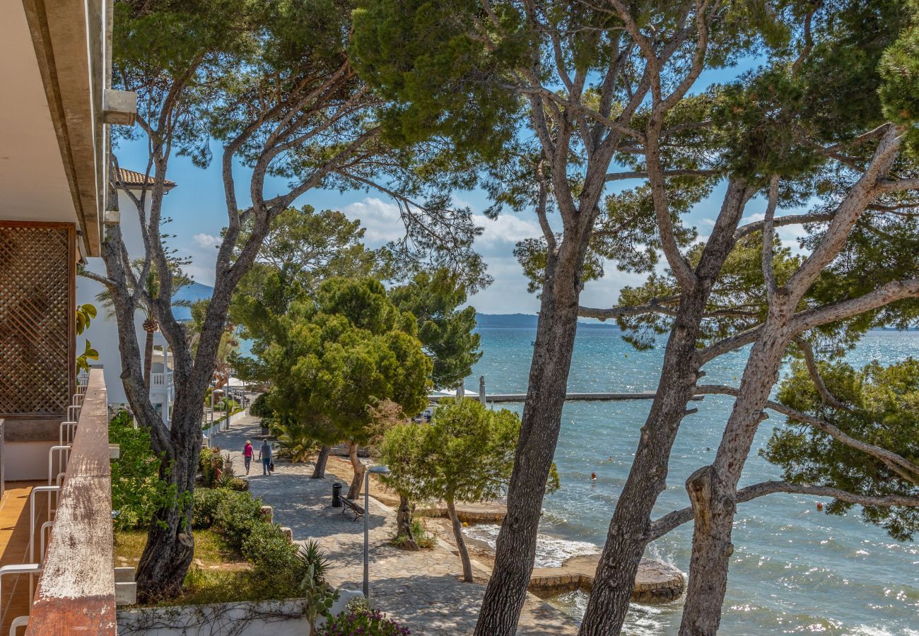 Country house in Cala San Vicente - Samoter, Finca 5StarsHome Mallorca