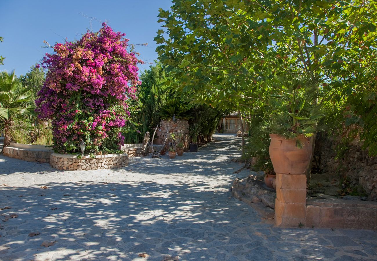 Country house in Santa Maria del Cami - Oasis Vent, Finca 5StarsHome Mallorca
