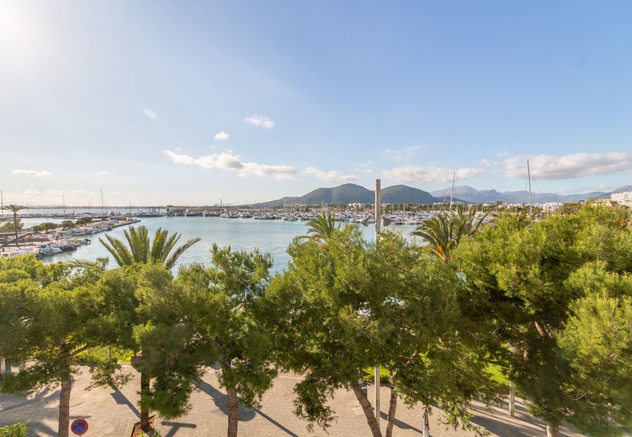 Apartment in Puerto de Alcudia - PortVic, Apartment 5StarsHome Mallorca