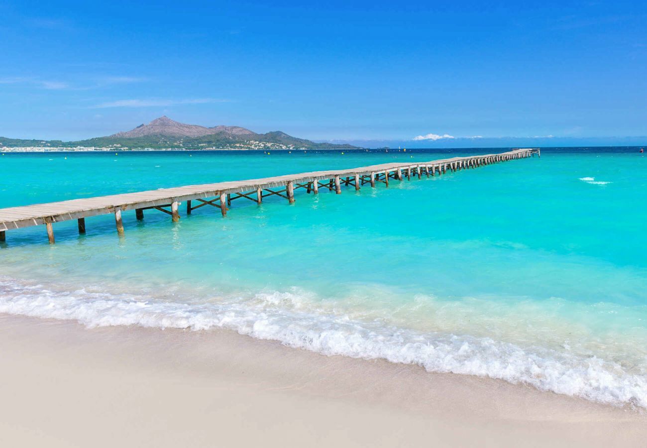 Apartment in Puerto de Alcudia - PortVic, Apartment 5StarsHome Mallorca