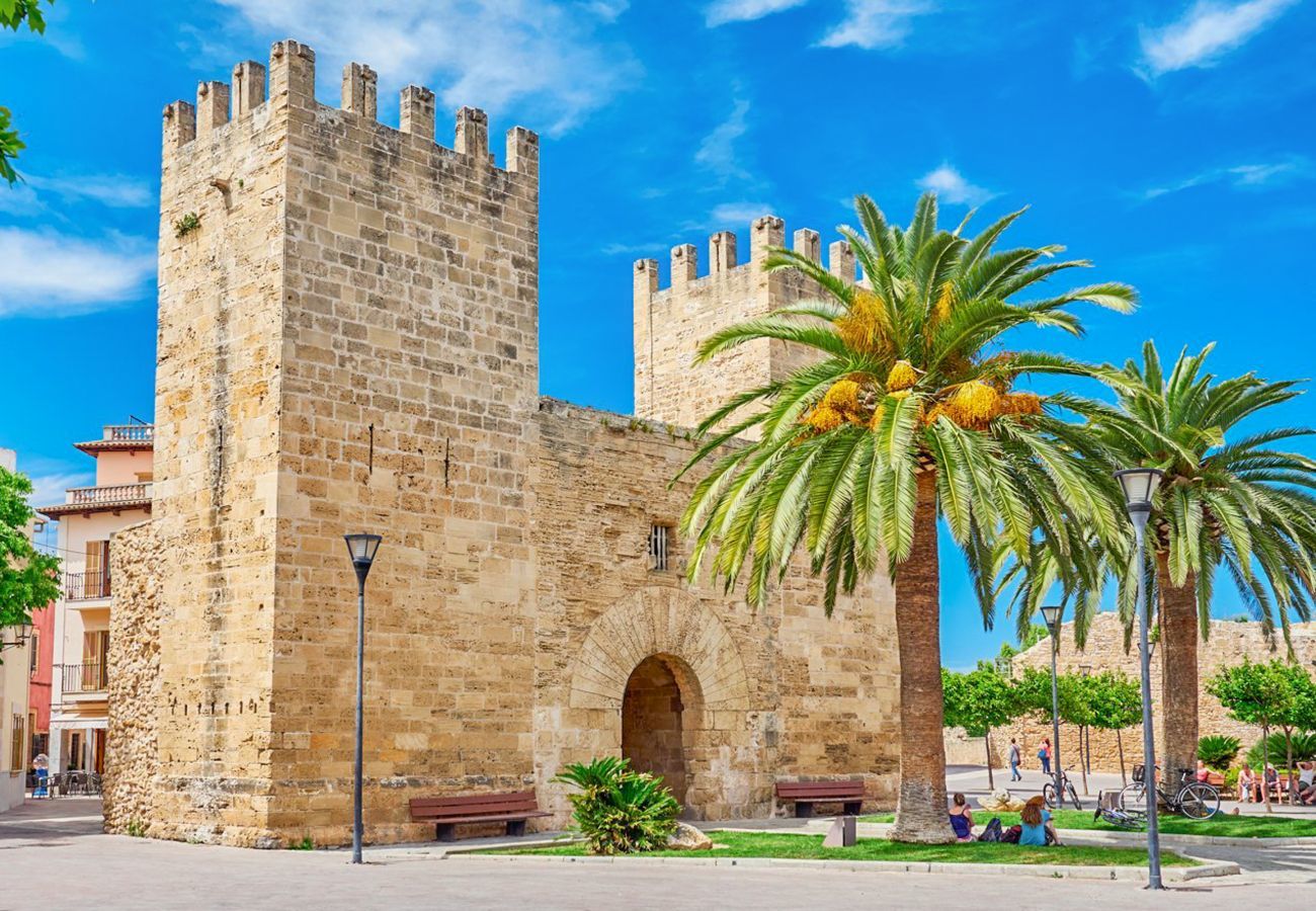 Apartment in Puerto de Alcudia - PortVic, Apartment 5StarsHome Mallorca