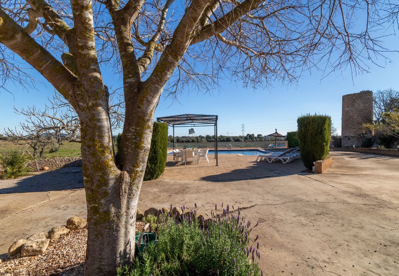 Country house in LLucmajor - Benyfe, Finca 5StarsHome Mallorca