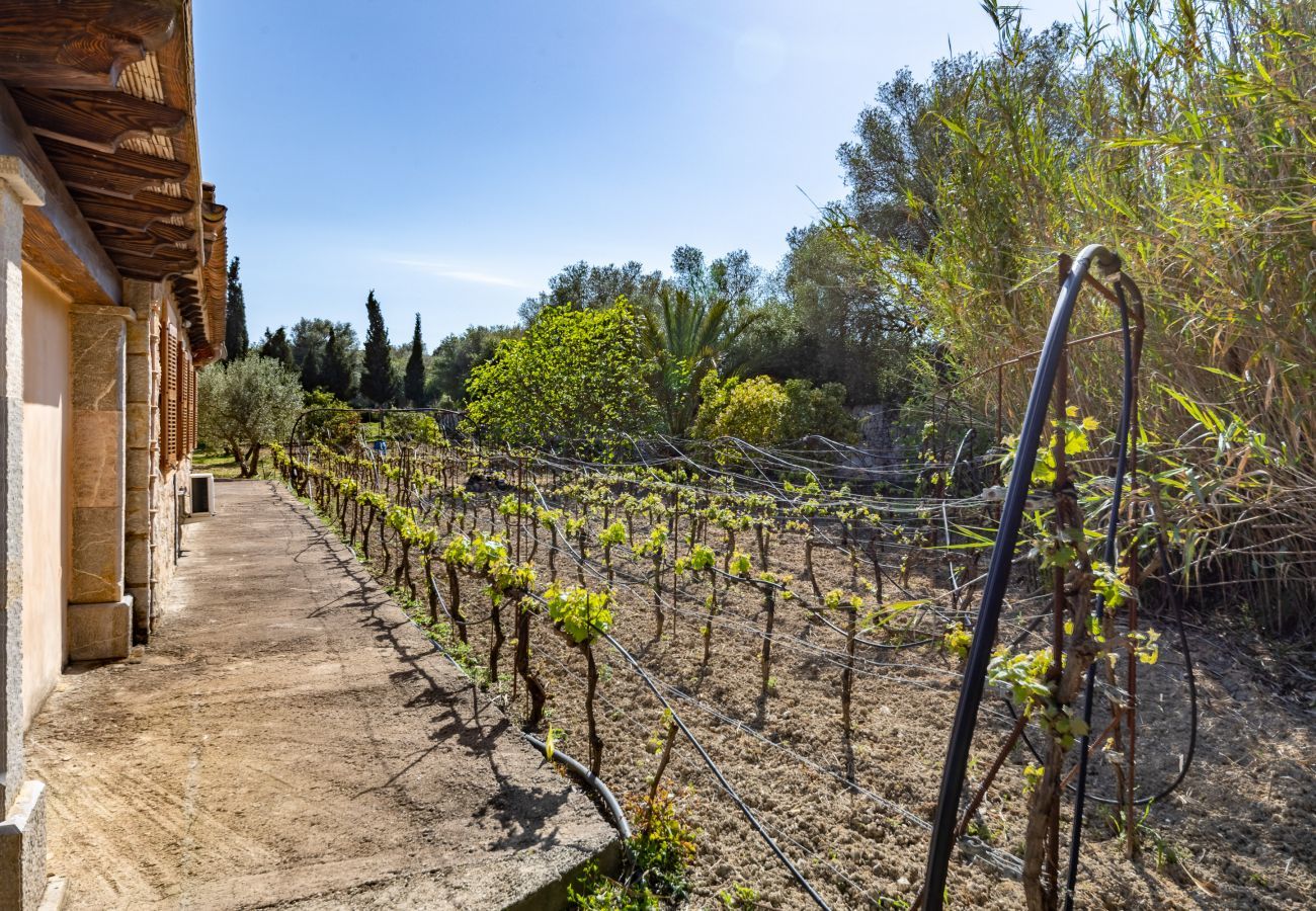 Country house in Selva - Ses comes (sescoses), Finca 5StarsHome Mallorca