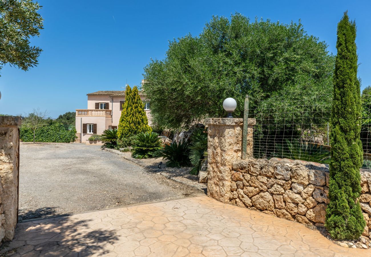 Country house in Ariany - Guesber, Finca 5StarsHome Mallorca