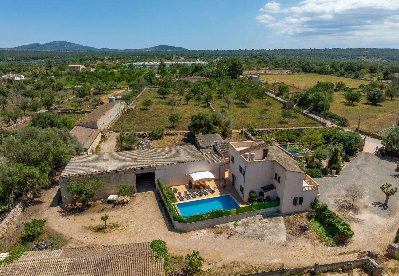 Country house in Ariany - Guesber, Finca 5StarsHome Mallorca