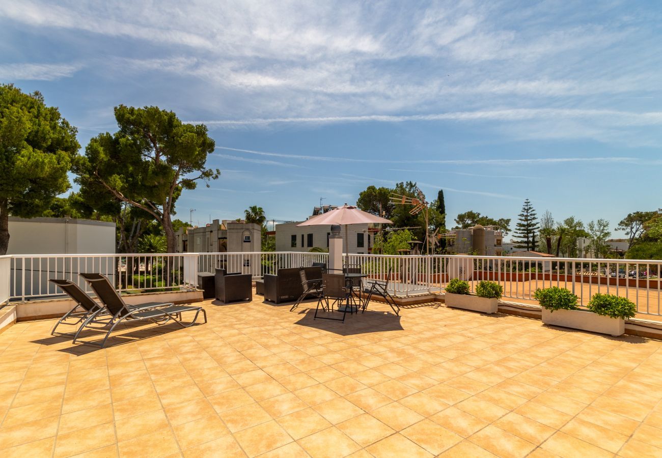 Apartment in Puerto de Alcudia - Assym, Apartment 5StarsHome Mallorca