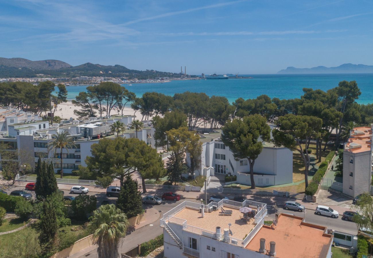 Apartment in Puerto de Alcudia - Assym, Apartment 5StarsHome Mallorca