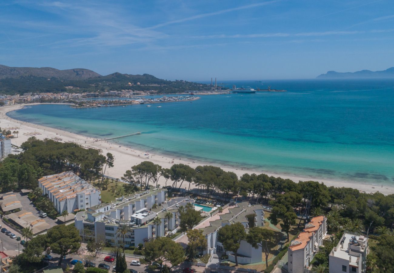 Apartment in Puerto de Alcudia - Assym, Apartment 5StarsHome Mallorca