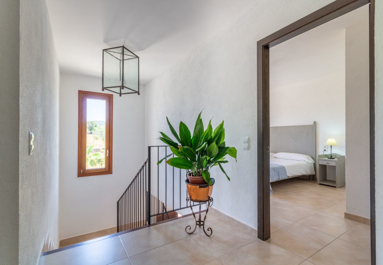 Country house in Petra - Saperla, Finca 5StarsHome Mallorca