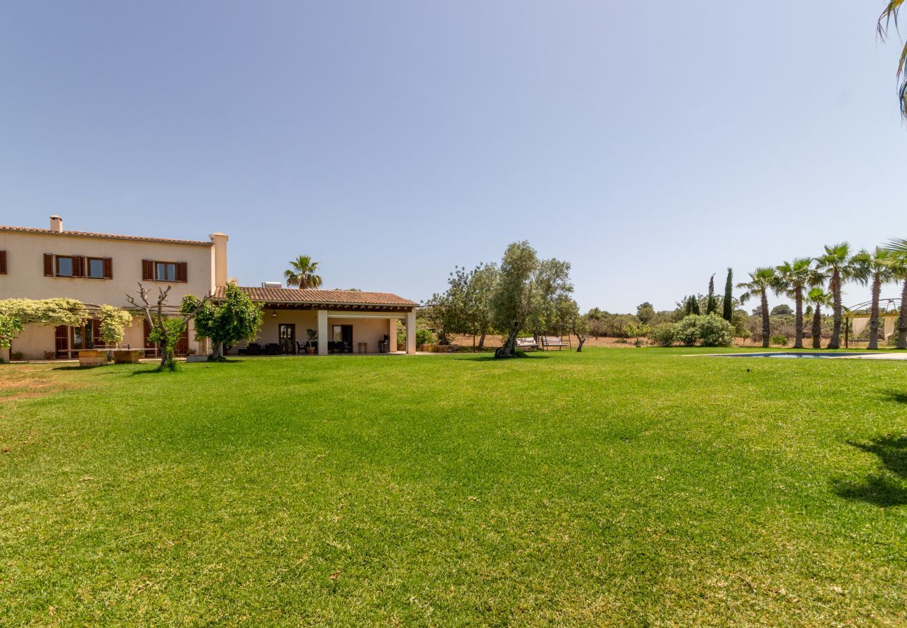 Country house in Petra - Saperla, Finca 5StarsHome Mallorca