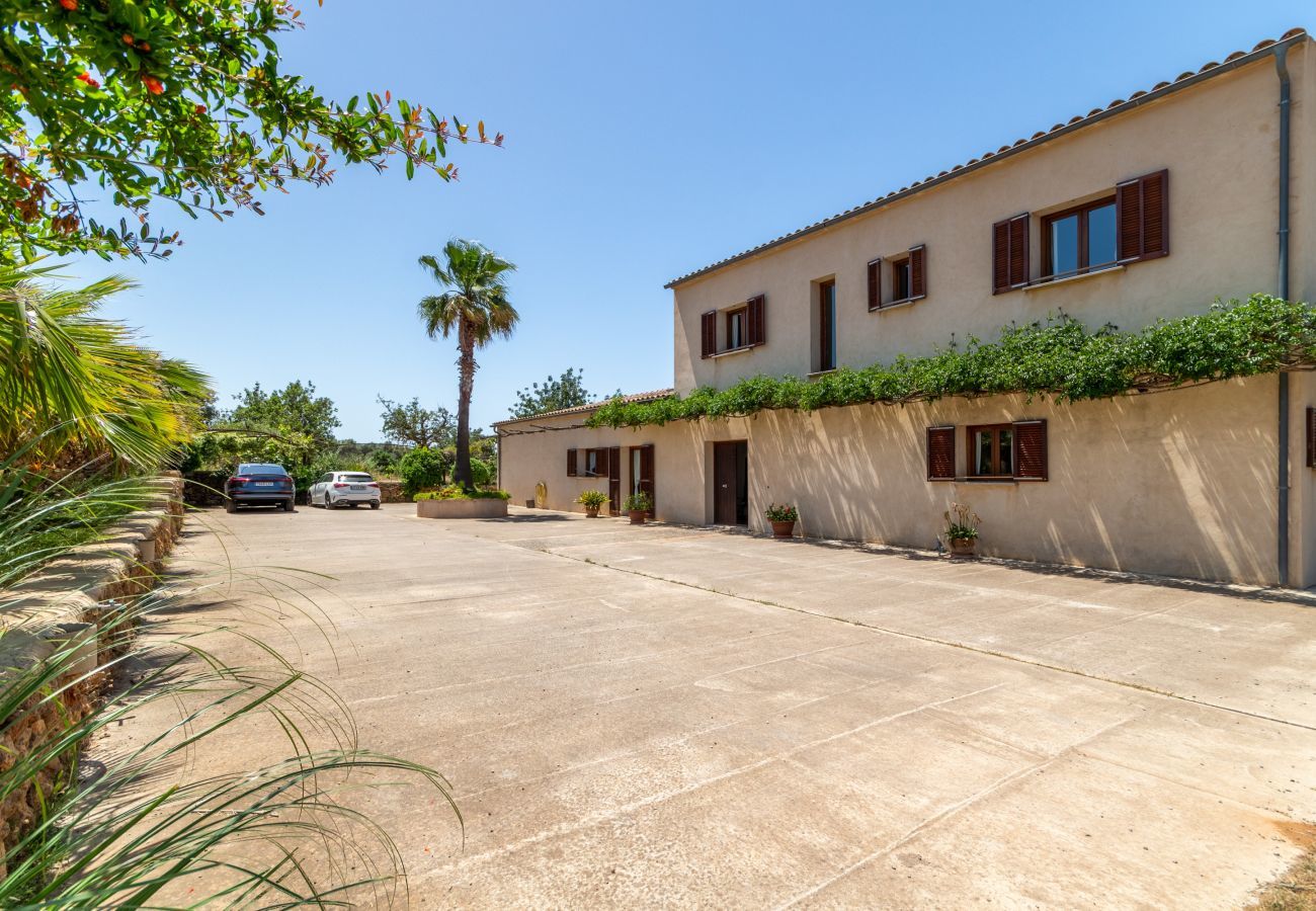 Country house in Petra - Saperla, Finca 5StarsHome Mallorca