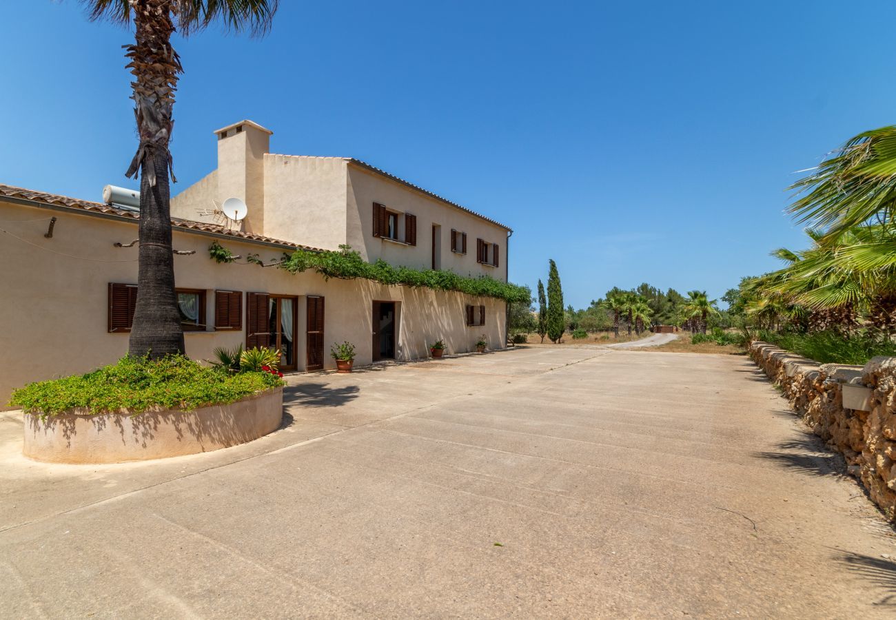 Country house in Petra - Saperla, Finca 5StarsHome Mallorca