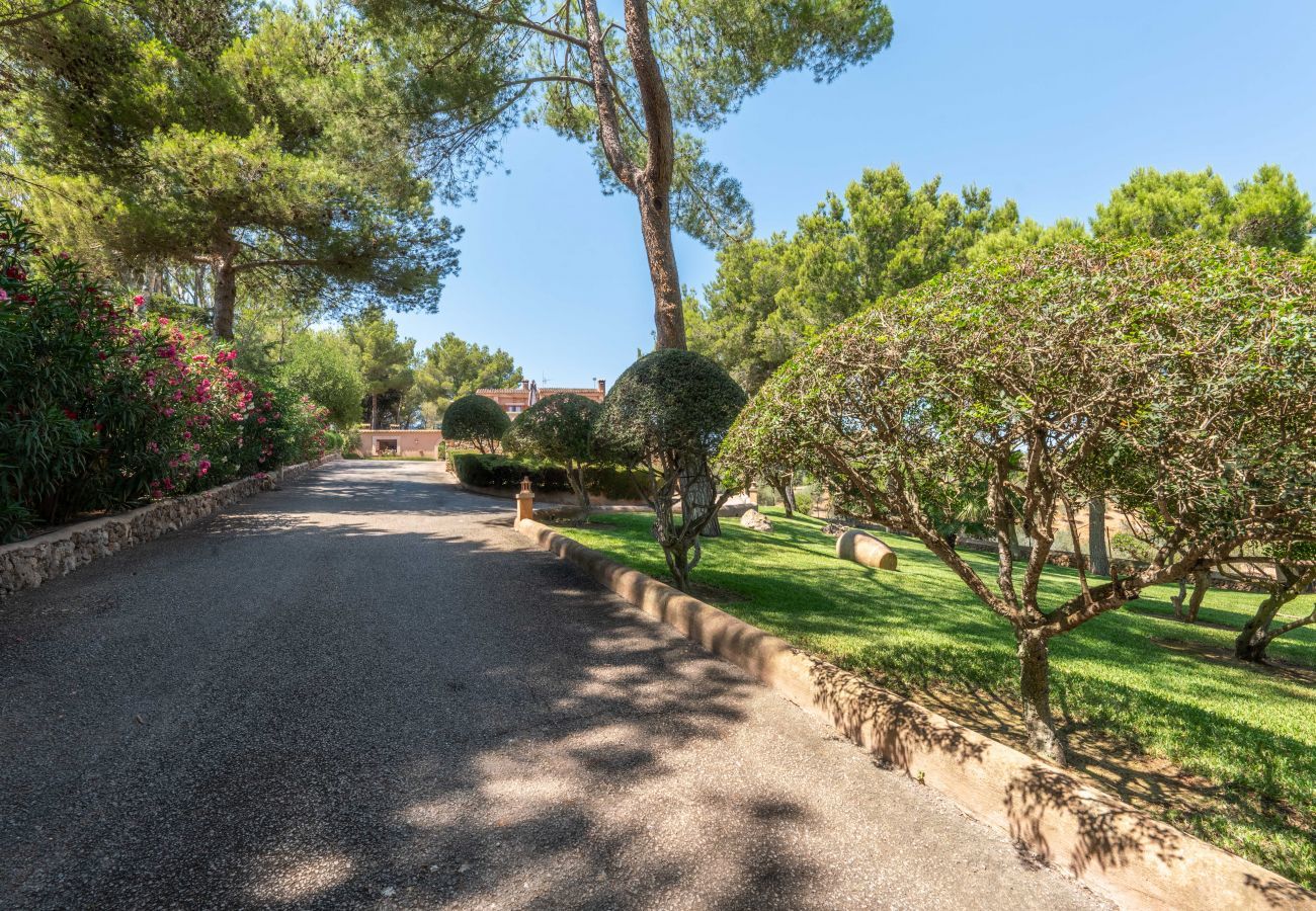Country house in Felanitx - Franses, Finca 5StarsHome Mallorca
