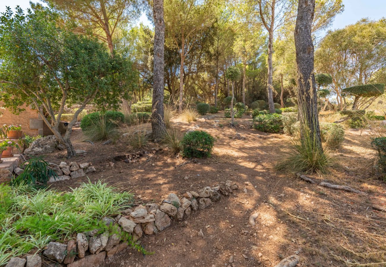 Country house in Felanitx - Franses, Finca 5StarsHome Mallorca