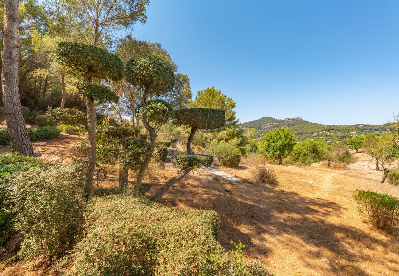 Country house in Felanitx - Franses, Finca 5StarsHome Mallorca