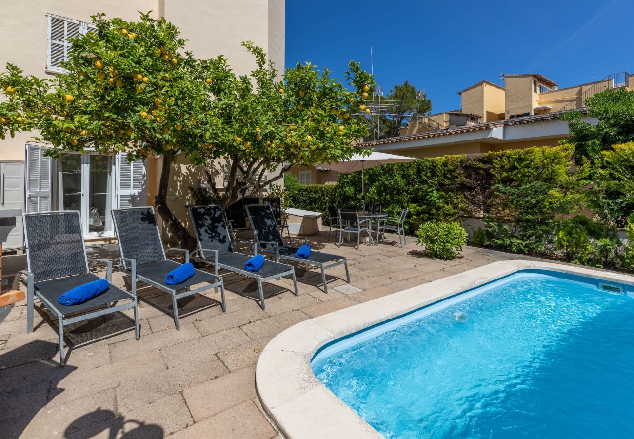 Apartment in Puerto de Alcudia - Neptuno, Apartment 5StarsHome Mallorca