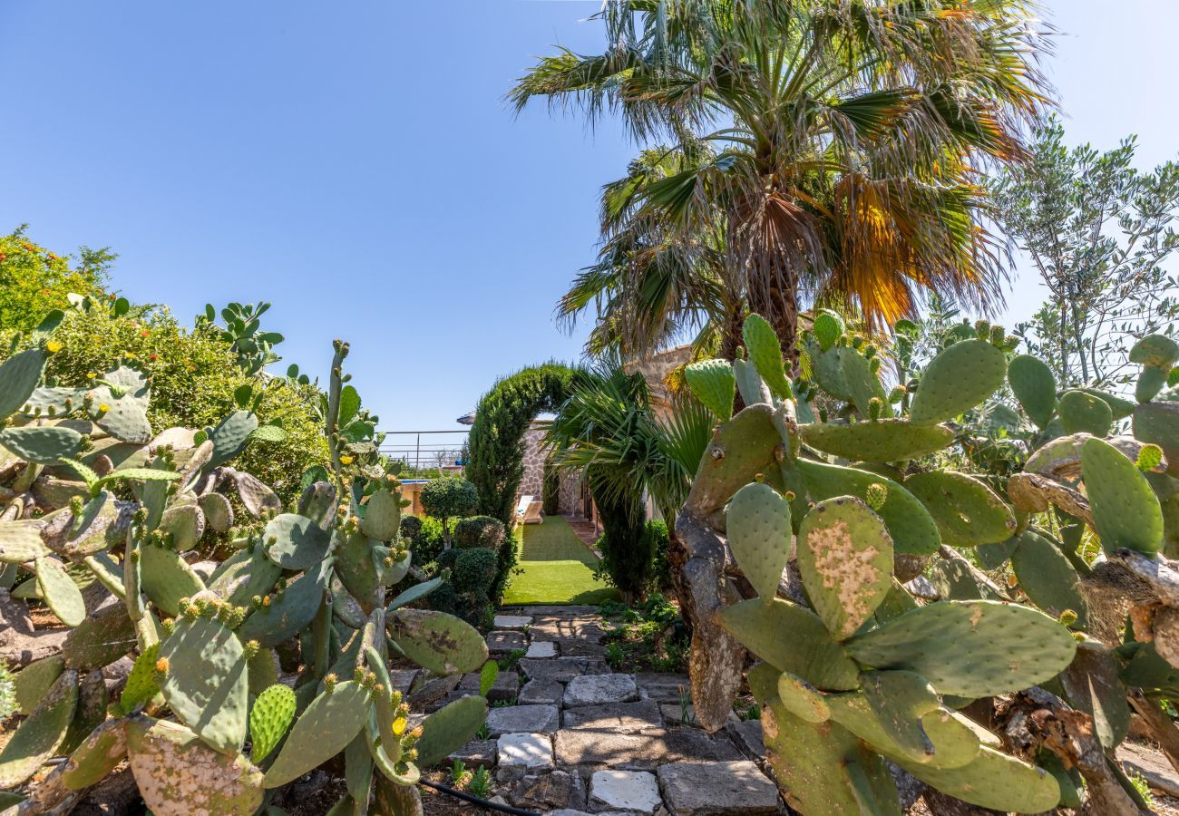 Country house in Santa Margalida - Almares, Finca 5StarsHome Mallorca